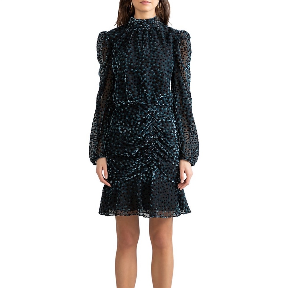 Shoshanna Cassia Dot Velvet Burnout Dress